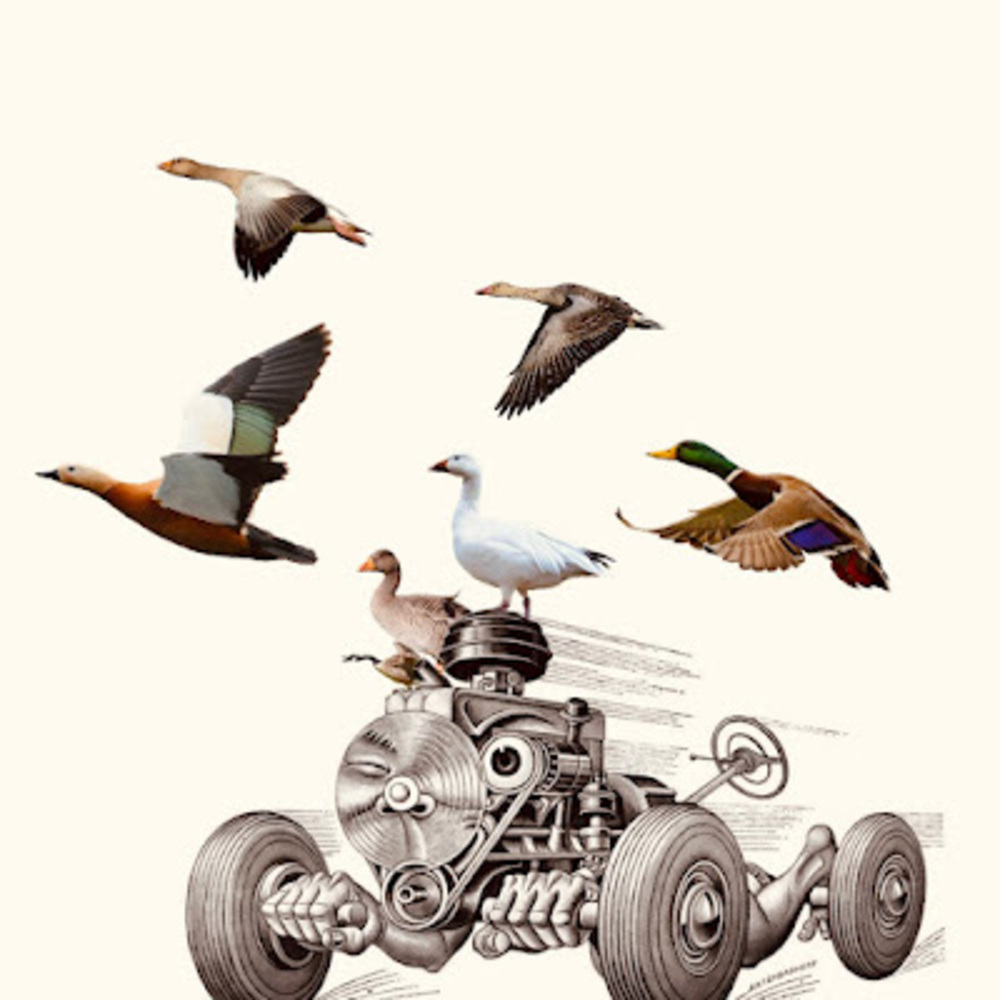 Meet your Posher, Jayden